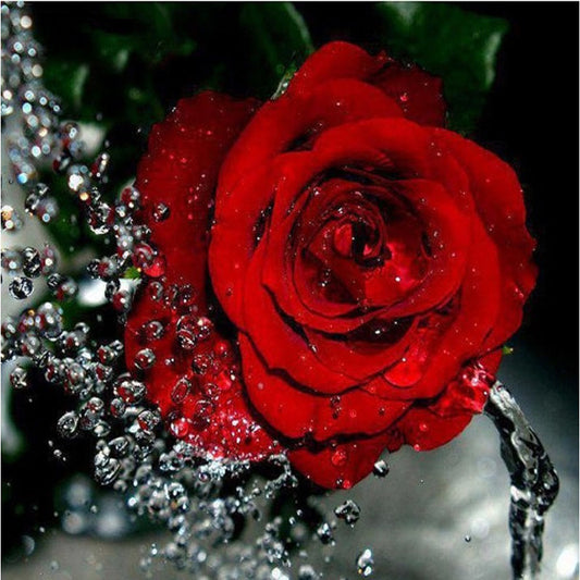 Digital Oil Painting Frameless Rose Canvas Painting